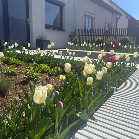 Apartamento Garsonka V Srdci Vysociny Žďár nad Sázavou Exterior foto