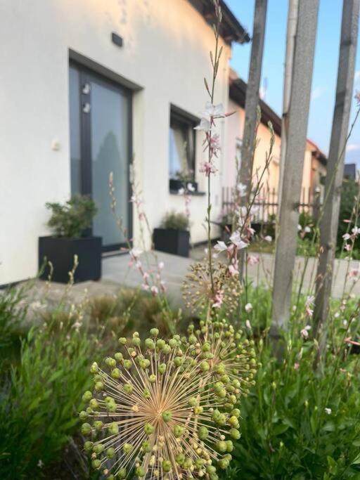 Apartamento Garsonka V Srdci Vysociny Žďár nad Sázavou Exterior foto