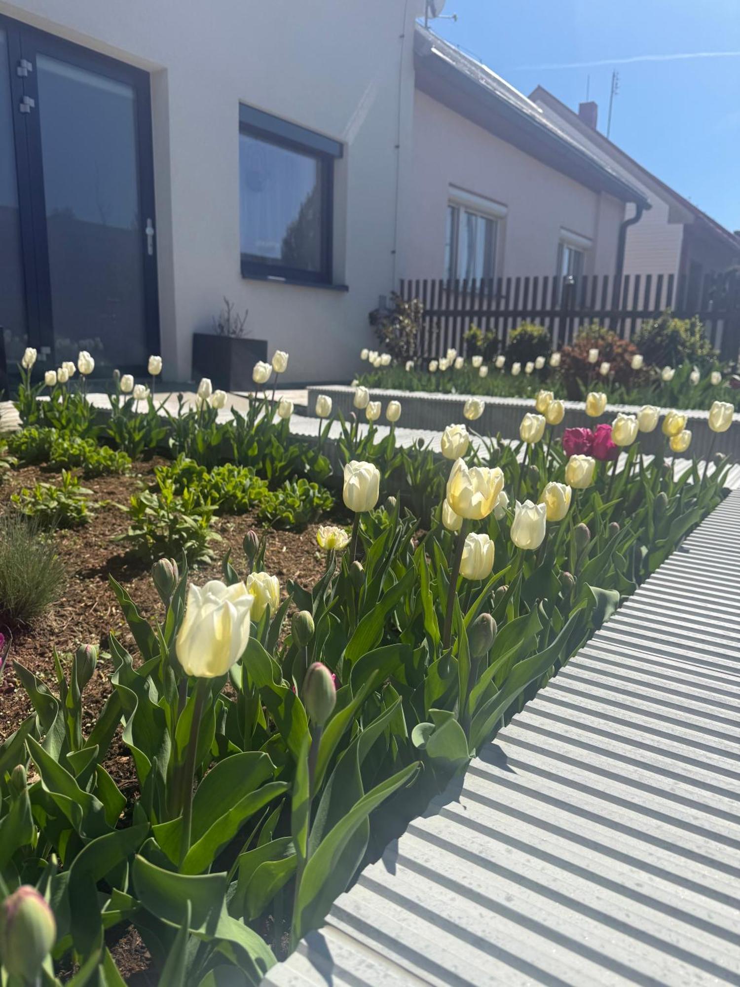 Apartamento Garsonka V Srdci Vysociny Žďár nad Sázavou Exterior foto